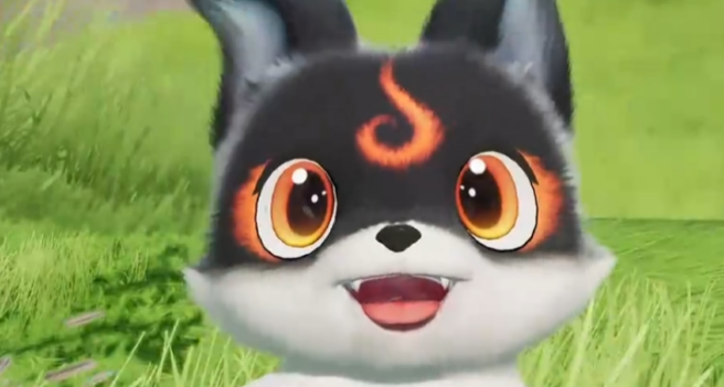 伊莫小炭犬盘点 伊莫小炭犬怎么样