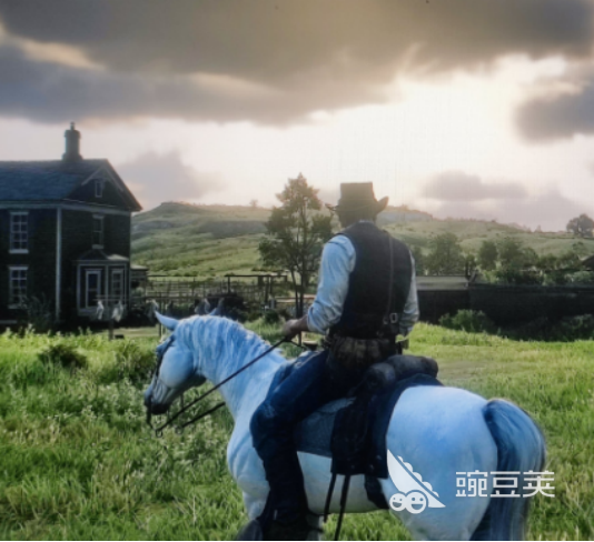 荒野大镖客:救赎2闪退无提示怎么办?常见原因与详细解决方法