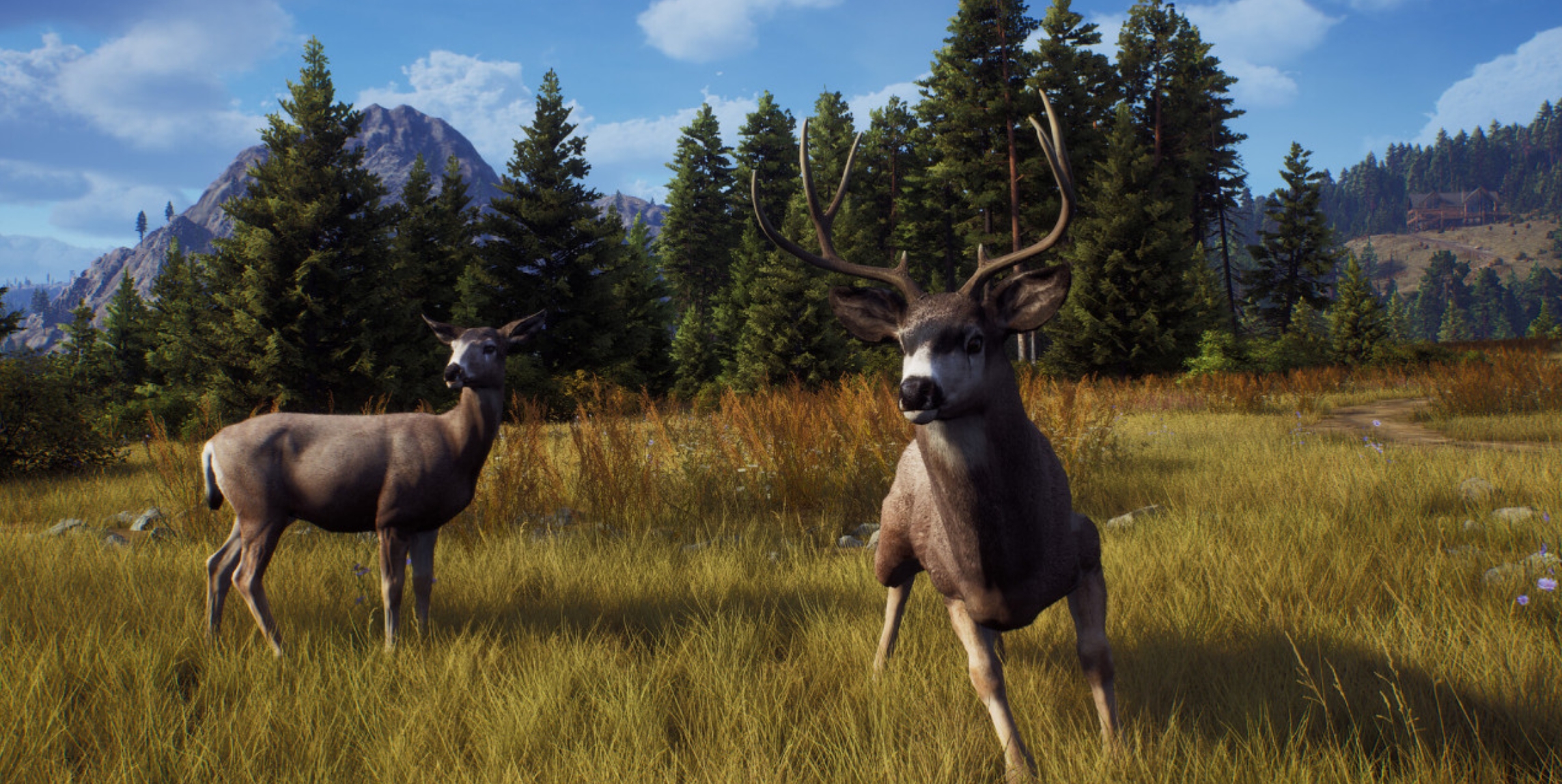 经典的猎捕游戏合集2026