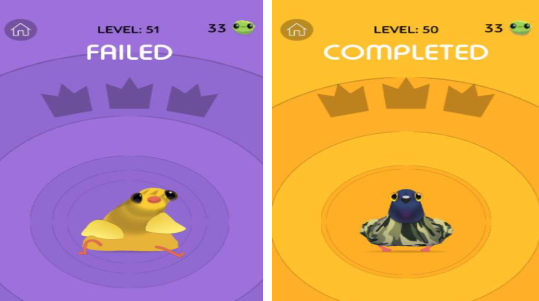 人气较高的鸽子游戏前五名