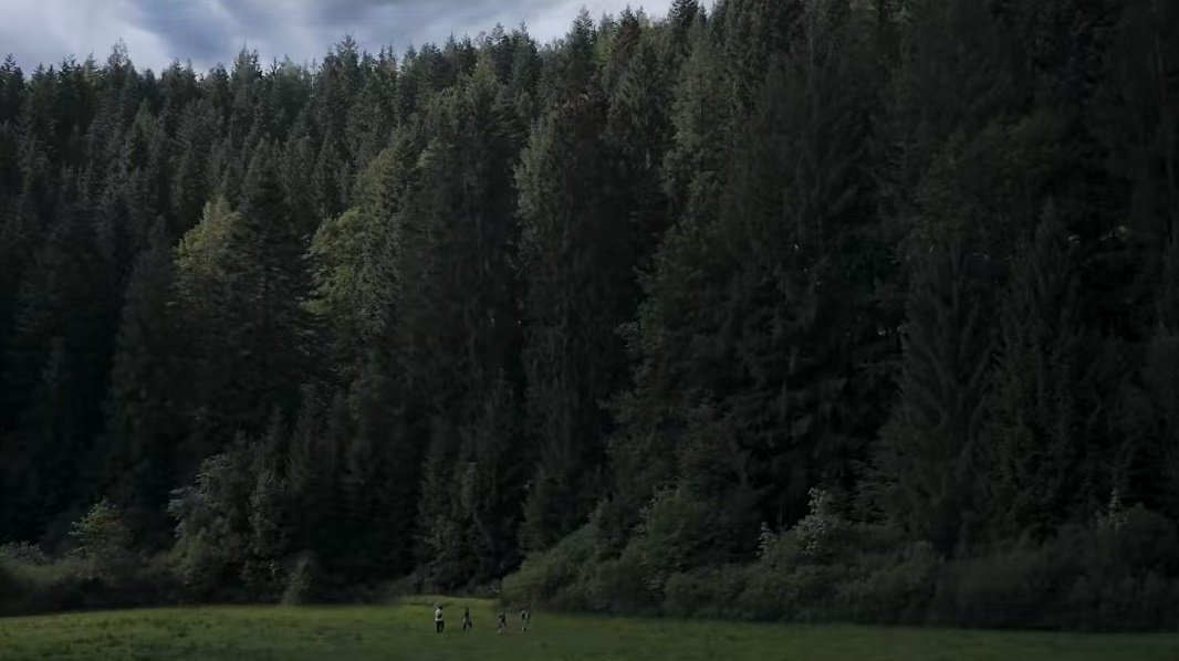 幽林深处下载安装链接盘点 幽林深处预约链接分享截图