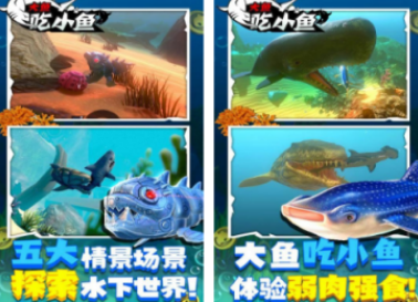 好玩的大鱼游戏合集