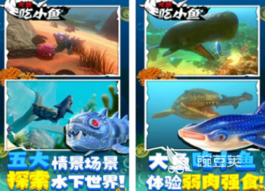 榜单3大鱼游戏before_1 2026火爆的大鱼游戏手机版分享合辑截图