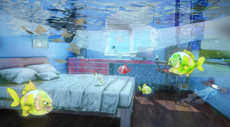 食人鱼游戏有哪几款 流行的食人鱼游戏介绍2026截图