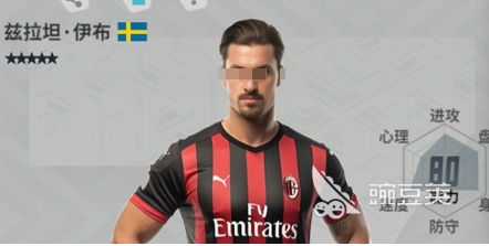 实战十一人球员最高几星 实战十一人球员进阶教程与星级提升技巧截图