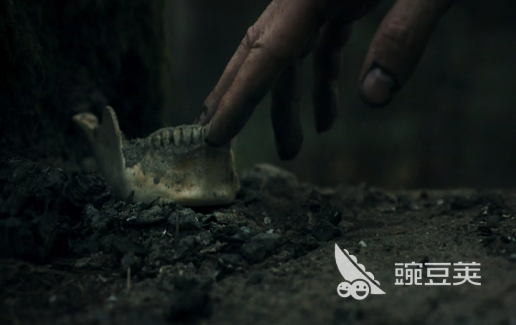 幽林深处下载安装链接推荐｜高清无广告资源获取指南