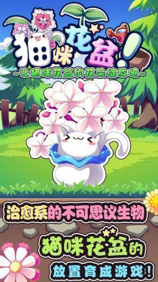 火爆的的治愈猫咪游戏榜单推荐 2026必玩的治愈系猫咪游戏分享