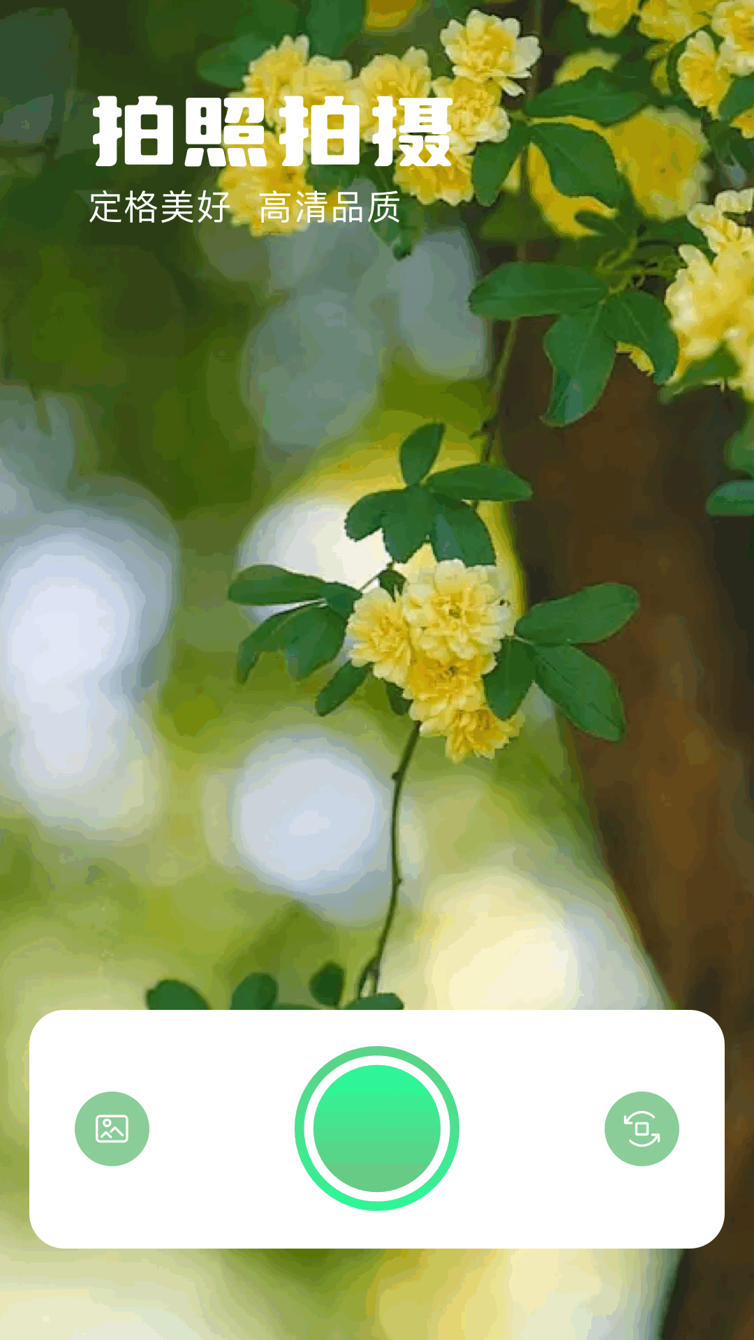 热门的识图软件有什么