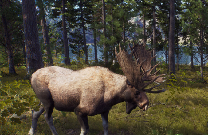 好玩的猎人游戏有哪几款 2026火爆的的猎人游戏手机版排名截图