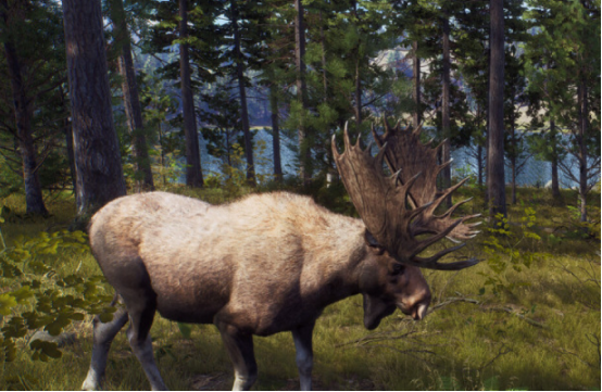 受欢迎的猎人游戏有哪些