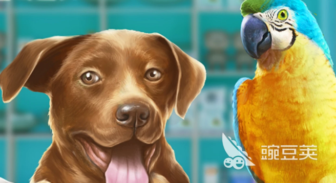 异域风情2宠物店模拟器下载慢怎么办 异域风情2宠物店模拟器加速器分享截图