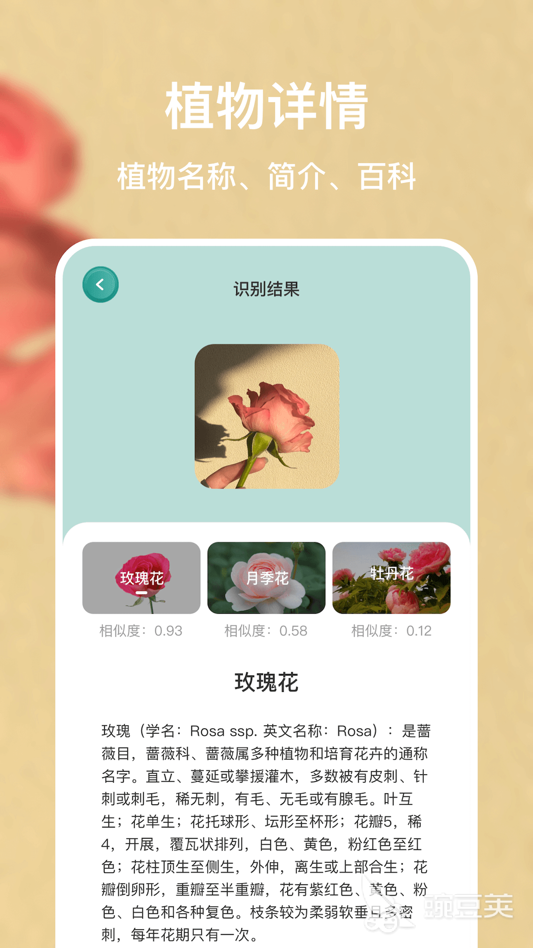 中草药拍照识别APP分享 高准确率中药图像识别软件下载指南截图