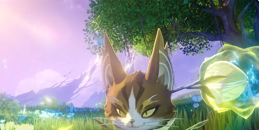 归环不用钱9before_4下载安装包最新版本截图