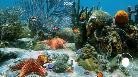 大鱼吃小鱼小游戏盘点