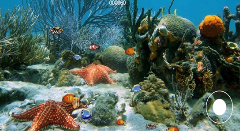 大鱼吃小鱼手机游戏介绍 2026流行的大鱼吃小鱼游戏推荐截图