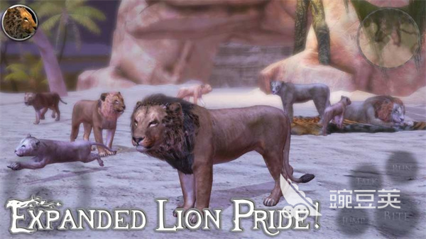 火爆的狮子游戏介绍 2026年高人气高口碑的狮子题材游戏分享截图