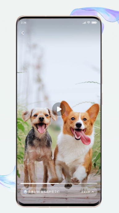 火热的富二代短视频app大全