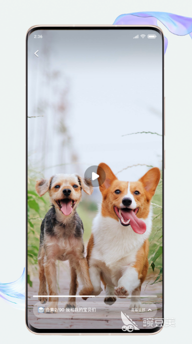 富二代短视频APP分享 火热好用的富二代主题短视频安卓APP榜单截图