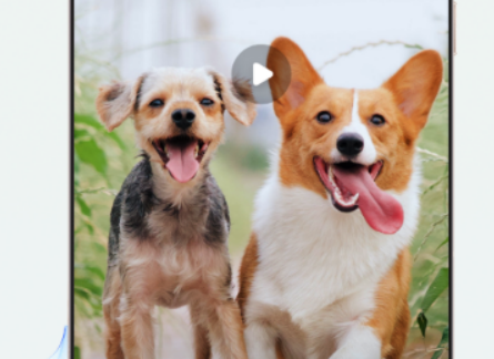 火热的富二代短视频app合辑 值得一用的富二代短视频app榜单