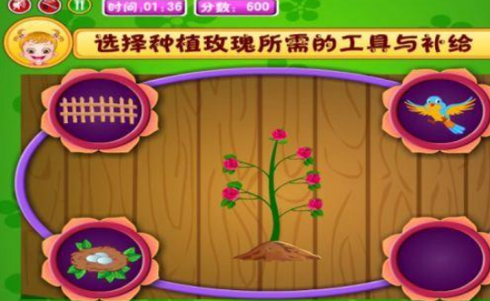 可爱宝贝游戏下载安装链接在哪 2026流行的宝贝手游安卓下载推荐截图