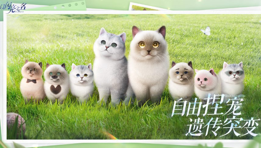 自由度高的治愈游戏有哪几款 2026受欢迎的高自由度游戏手机版排名截图