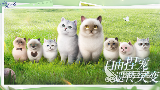 自由度高的治愈游戏分享 2026高自由度治愈系游戏手机版榜单合集截图