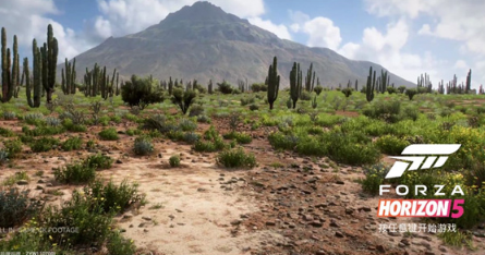 最新赛车游戏小游戏介绍 2026经典的赛车游戏推荐截图