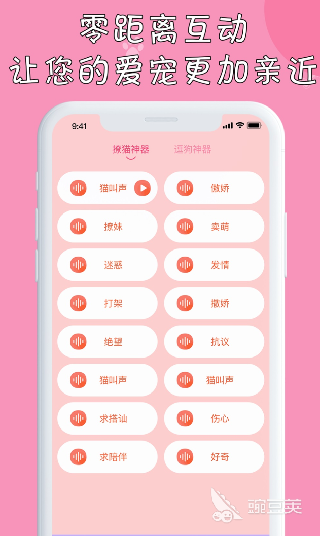 值得分享的小猫App榜单 2024年高评分实用猫咪管理与互动安卓APP截图