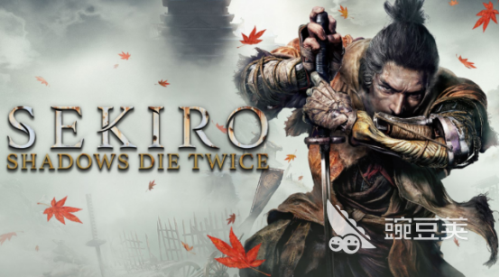 只狼影逝二度掉帧严重怎么办？全面解决卡顿和帧率不稳问题