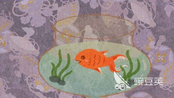 胖鱼游戏榜单合集 2026人气高涨的胖鱼游戏精选榜单截图