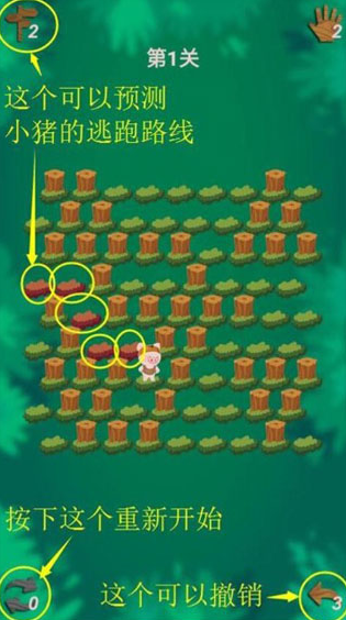 人气高的小猪猪游戏分享