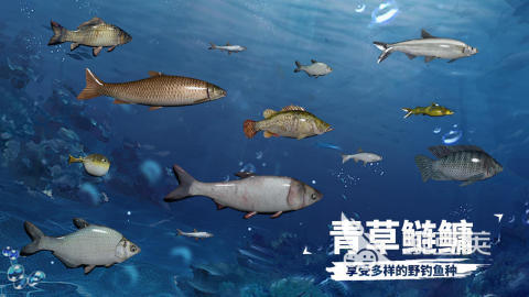 十款良心捕鱼游戏榜单合集 2026年高口碑高可玩性捕鱼游戏手机版分享截图