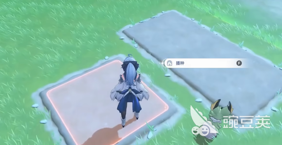 蓝色星原旅谣种菜玩法详解 蓝色星原旅谣种菜入门指南与高效养成技巧截图