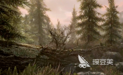 上古卷轴5闪退怎么办？游戏运行中突然崩溃的全面解决方法