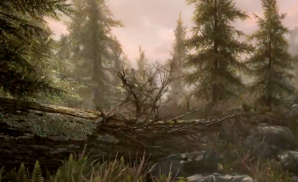 老滚5闪退怎么办 上古卷轴5玩着玩着闪退如何应对截图