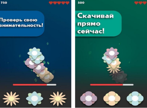 鲜花游戏在哪里下载