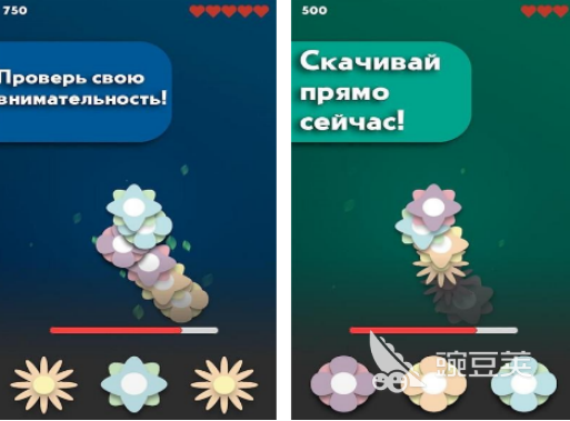 鲜花游戏下载指南 2026火爆的鲜花类休闲游戏分享截图