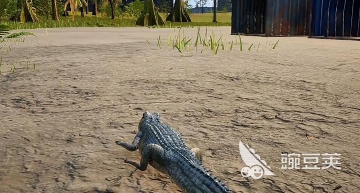 Dragon Island Mythical Creatures Origin English Name Explained