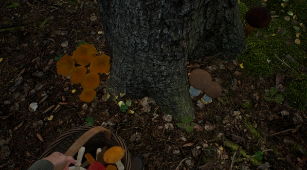 蘑菇猎人模拟器下载慢如何解决 蘑菇猎人模拟器下载慢应对方法截图