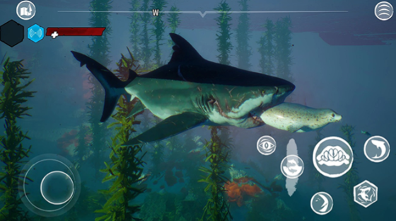 打鲨鱼的游戏叫什么