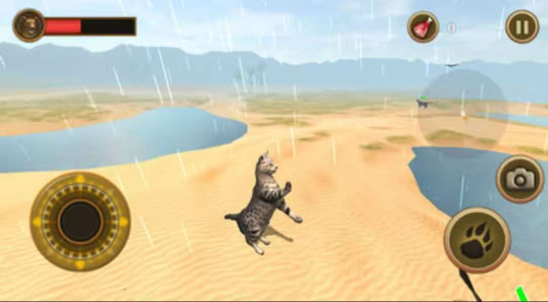 2026可爱的小猫咪游戏合辑分享 受欢迎的人气猫咪游戏有哪几款值得玩截图