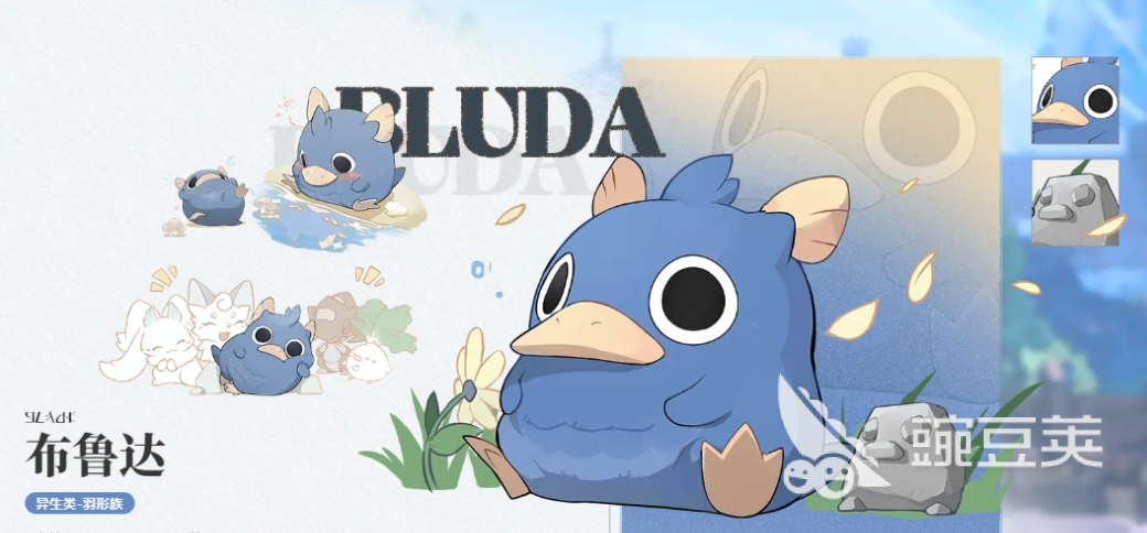 蓝色星原旅谣布鲁达角色解析 蓝色星原旅谣布鲁达技能机制与实战表现截图