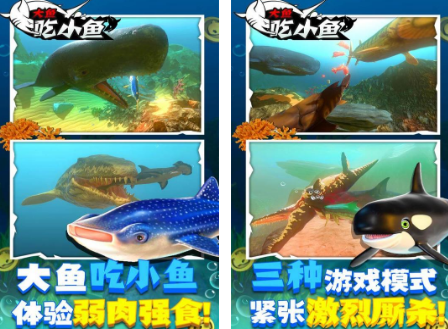 小鱼吃大鱼游戏有什么
