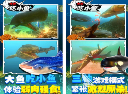 小鱼吃大鱼游戏榜单 2026火爆的大鱼吃小鱼类休闲游戏分享截图