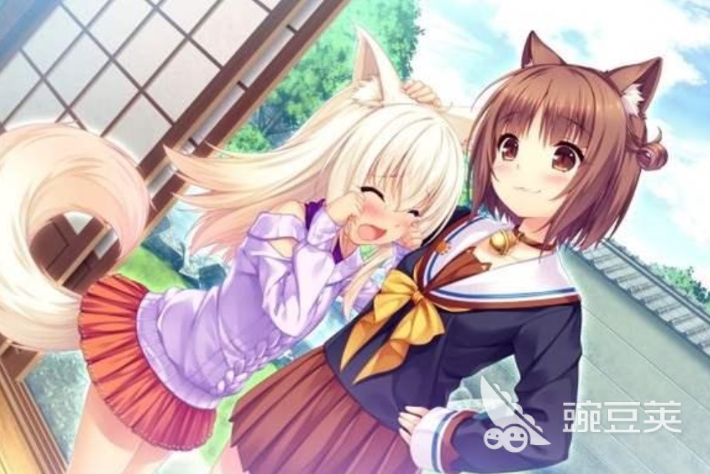 猫娘乐园世界连接下载慢 猫娘乐园世界连接下载速度优化方法截图