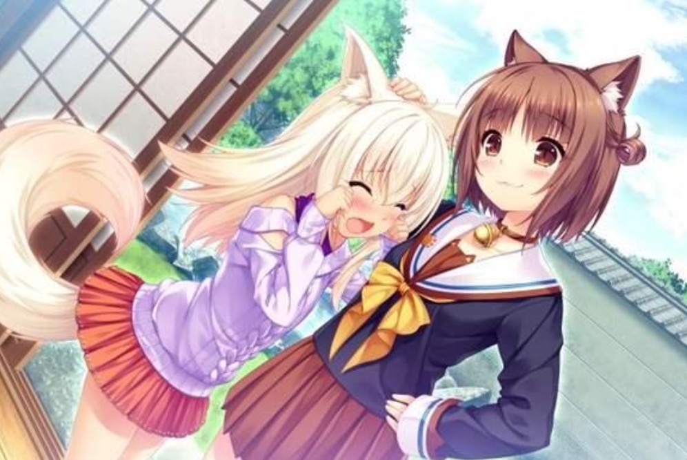 猫娘乐园世界连接下载慢怎么办 猫娘乐园世界连接下载慢解决办法截图