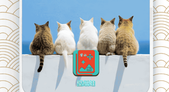 火爆的的壁纸软件介绍 好看的壁纸软件合辑