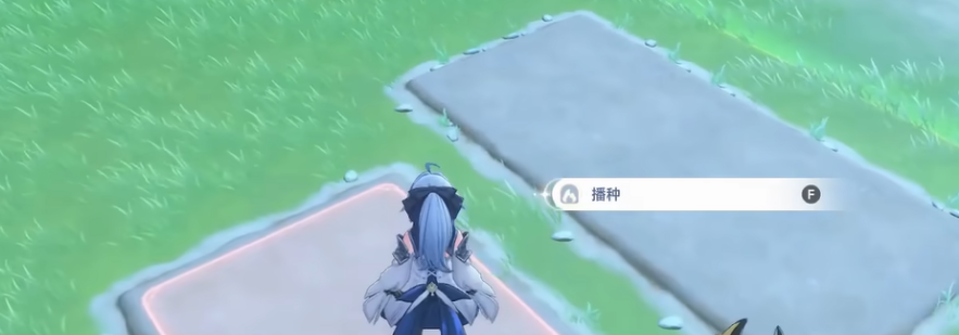 蓝色星原旅谣种菜机制玩法教程 蓝色星原旅谣种菜机制盘点