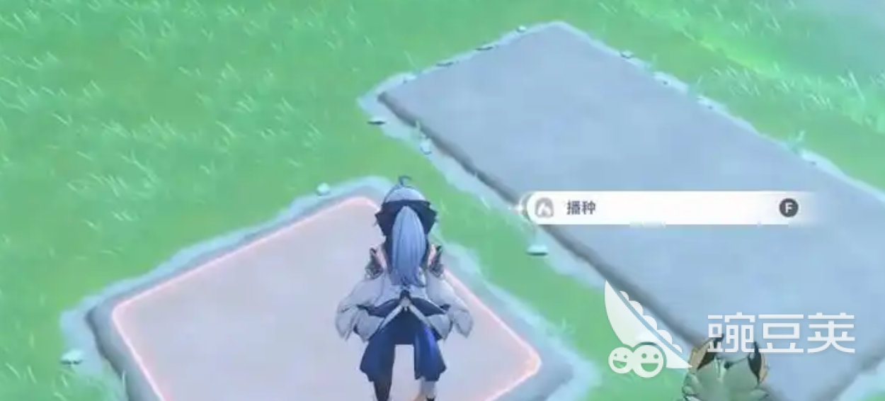 蓝色星原旅谣种菜机制详解 蓝色星原旅谣种菜玩法入门与收益优化指南截图