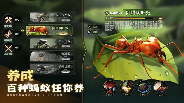 有什么比较受欢迎的蚂蚁游戏 2026值得下载的蚂蚁游戏推荐截图